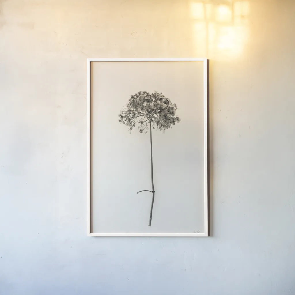 Sleek Simplicity I by Deborah Revell. shown as a paper print in a white frame. Available as a archival giclee rolled canvas, fine art paper, or poster print. SKU 92325h.