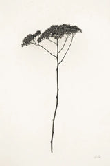 Sleek Simplicity II by Deborah Revell. SKU 92326h. Archival Giclee Fine art print for wall decor.