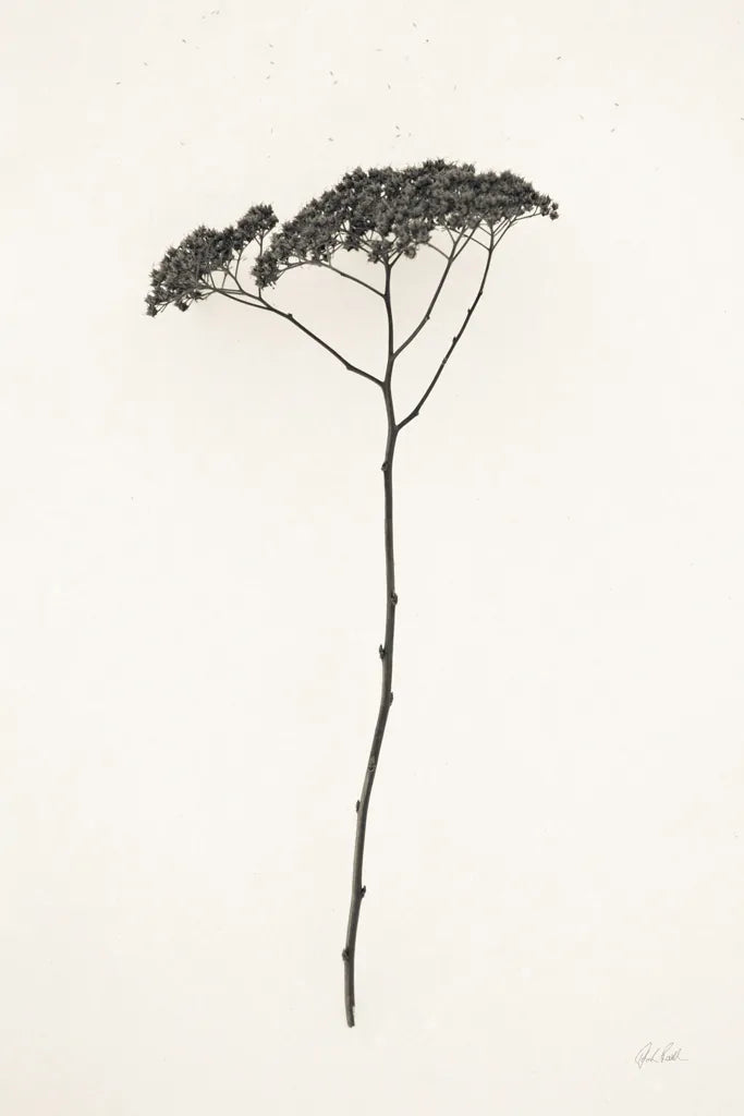 Sleek Simplicity II by Deborah Revell. SKU 92326h. Archival Giclee Fine art print for wall decor.