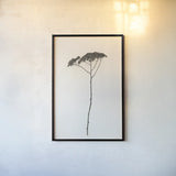 Sleek Simplicity II by Deborah Revell. shown as a paper print in a black flame. Available as a archival giclee rolled canvas, fine art paper, or poster print. SKU 92326h.