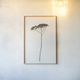 Sleek Simplicity II by Deborah Revell. shown as a paper print in a natural frame. Available as a archival giclee rolled canvas, fine art paper, or poster print. SKU 92326h.