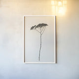 Sleek Simplicity II by Deborah Revell. shown as a paper print in a white frame. Available as a archival giclee rolled canvas, fine art paper, or poster print. SKU 92326h.