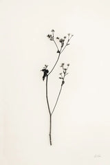 Sleek Simplicity III by Deborah Revell. SKU 92327h. Archival Giclee Fine art print for wall decor.