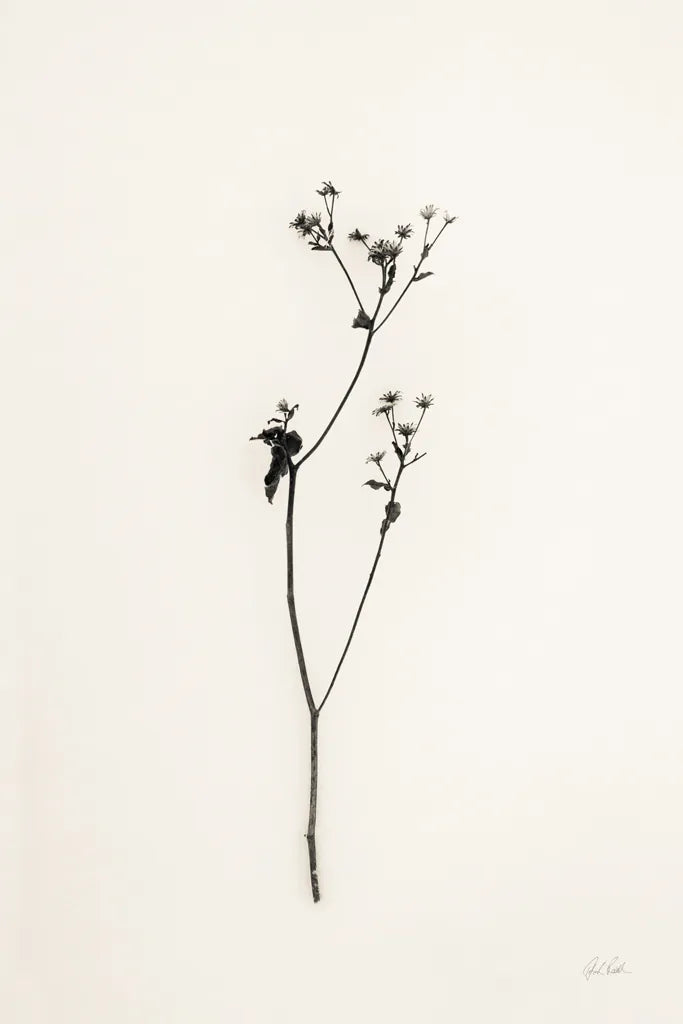 Sleek Simplicity III by Deborah Revell. SKU 92327h. Archival Giclee Fine art print for wall decor.