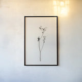 Sleek Simplicity III by Deborah Revell. shown as a paper print in a black flame. Available as a archival giclee rolled canvas, fine art paper, or poster print. SKU 92327h.