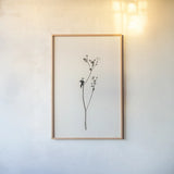 Sleek Simplicity III by Deborah Revell. shown as a paper print in a natural frame. Available as a archival giclee rolled canvas, fine art paper, or poster print. SKU 92327h.