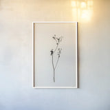 Sleek Simplicity III by Deborah Revell. shown as a paper print in a white frame. Available as a archival giclee rolled canvas, fine art paper, or poster print. SKU 92327h.