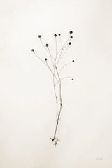 Sleek Simplicity IV by Deborah Revell. SKU 92328h. Archival Giclee Fine art print for wall decor.