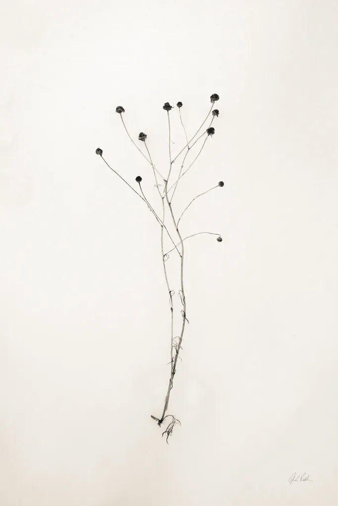 Sleek Simplicity IV by Deborah Revell. SKU 92328h. Archival Giclee Fine art print for wall decor.