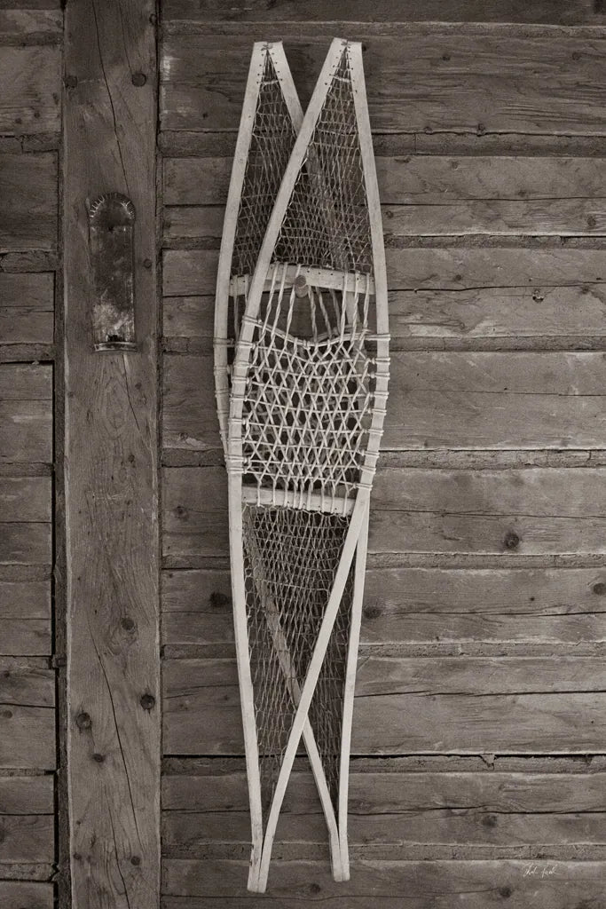 Snow Rackets by Deborah Revell. SKU 96614h. Archival Giclee Fine art print for wall decor.