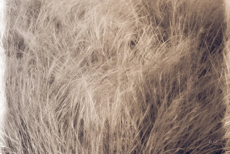 Soft Grasses I by Deborah Revell. SKU 94357i. Archival Giclee Fine art print for wall decor.