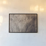 Soft Grasses I by Deborah Revell. shown as a paper print in a black flame. Available as a archival giclee rolled canvas, fine art paper, or poster print. SKU 94357i.