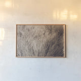 Soft Grasses I by Deborah Revell. shown as a paper print in a natural frame. Available as a archival giclee rolled canvas, fine art paper, or poster print. SKU 94357i.
