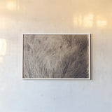 Soft Grasses I by Deborah Revell. shown as a paper print in a white frame. Available as a archival giclee rolled canvas, fine art paper, or poster print. SKU 94357i.