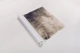 Soft Grasses II by Deborah Revell. shown as a rolled paper print. Available as archival giclee rolled canvas, fine art paper, or poster print. SKU 94358i.