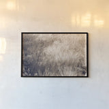 Soft Grasses II by Deborah Revell. shown as a paper print in a black flame. Available as a archival giclee rolled canvas, fine art paper, or poster print. SKU 94358i.