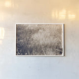 Soft Grasses II by Deborah Revell. shown as a paper print in a white frame. Available as a archival giclee rolled canvas, fine art paper, or poster print. SKU 94358i.