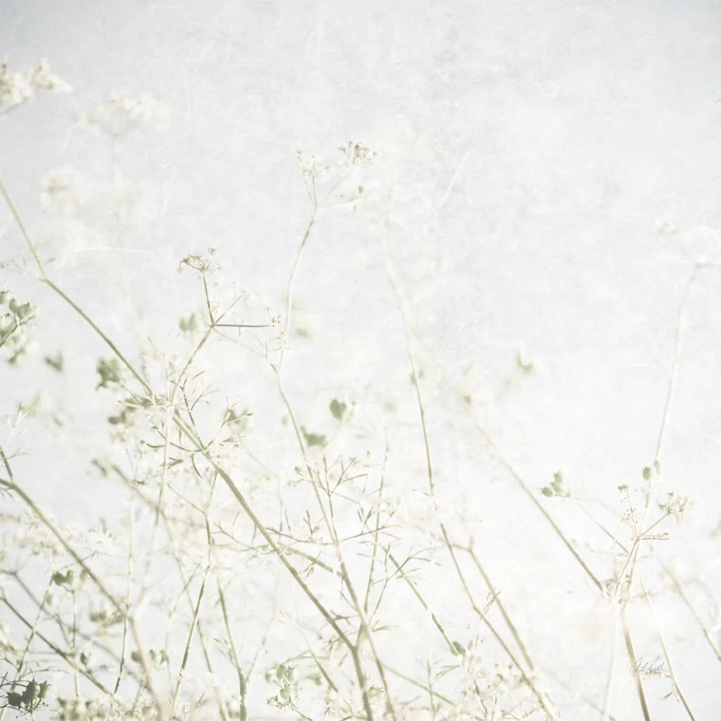 Soft Wild Grass by Deborah Revell. SKU 98513a. Archival Giclee Fine art print for wall decor.