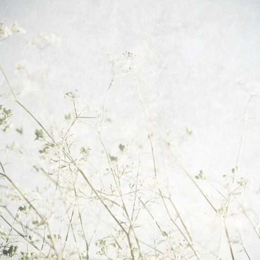 Soft Wild Grass by Deborah Revell. SKU 98513a. Archival Giclee Fine art print for wall decor.