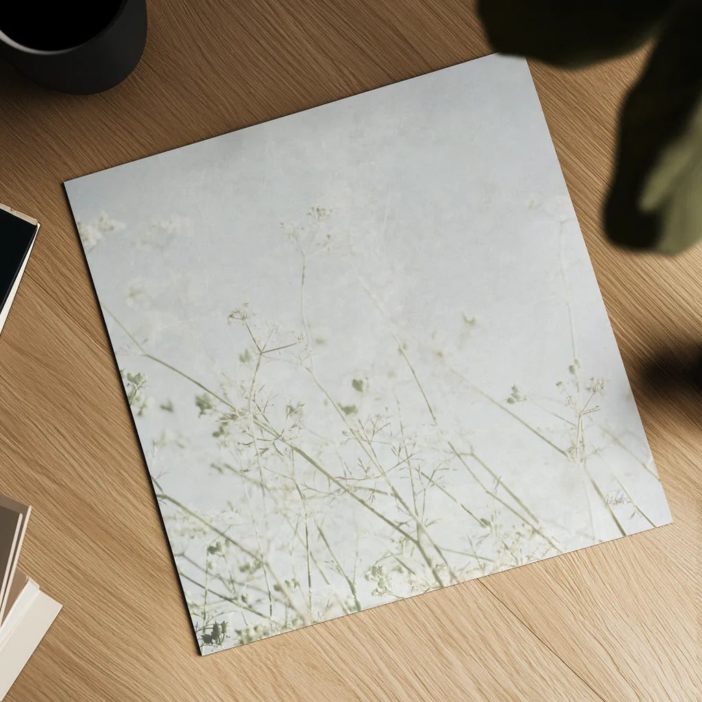 Soft Wild Grass by Deborah Revell. Shown as a detailed flat fine art print, highlighting archival giclee quality. Available as an archival giclee rolled canvas, fine art paper, or poster print. SKU 98513a.