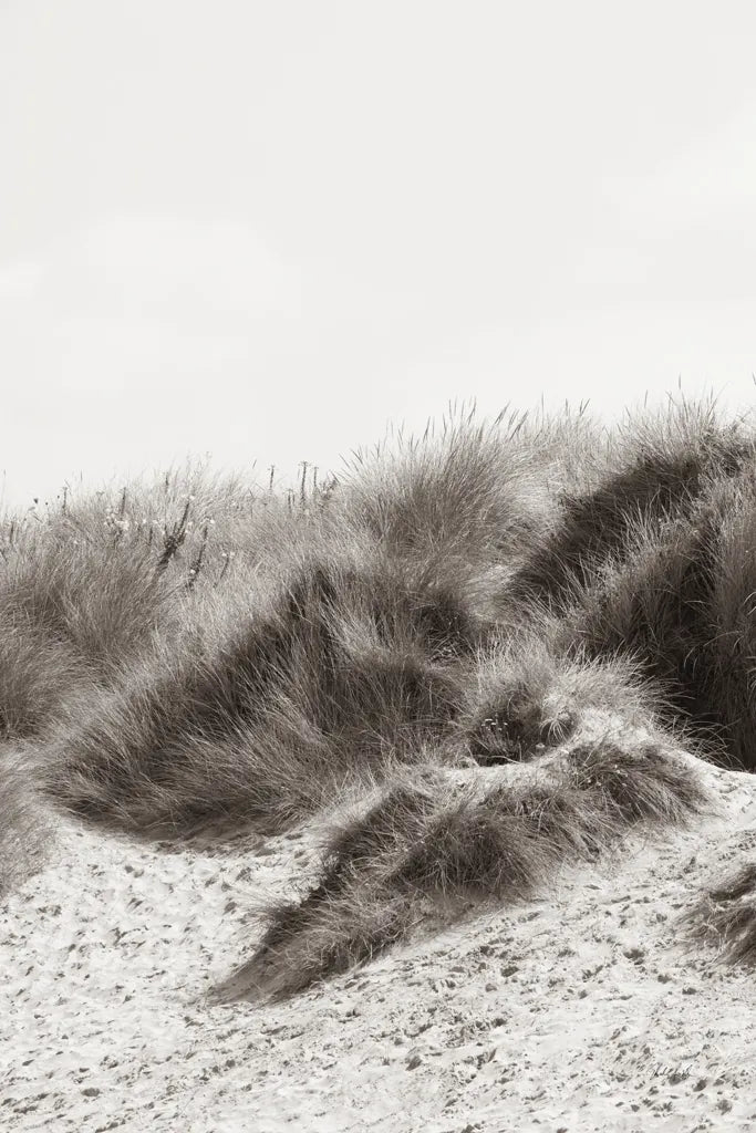 Soluna Dunes I by Deborah Revell. SKU 102767h. Archival Giclee Fine art print for wall decor.