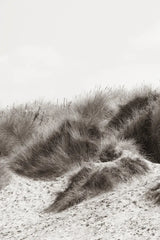 Soluna Dunes I by Deborah Revell. SKU 102767h. Archival Giclee Fine art print for wall decor.