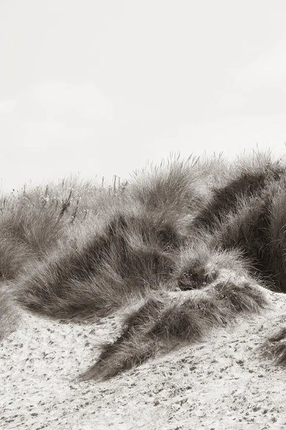 Soluna Dunes I by Deborah Revell. SKU 102767h. Archival Giclee Fine art print for wall decor.