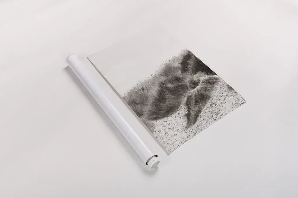 Soluna Dunes I by Deborah Revell. shown as a rolled paper print. Available as archival giclee rolled canvas, fine art paper, or poster print. SKU 102767h.