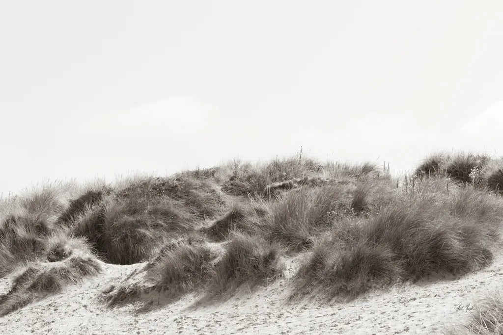 Soluna Dunes II by Deborah Revell. SKU 102768i. Archival Giclee Fine art print for wall decor.