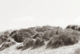 Soluna Dunes II by Deborah Revell. SKU 102768i. Archival Giclee Fine art print for wall decor.