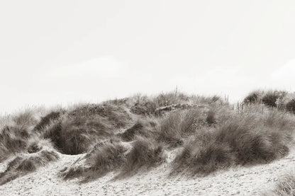 Soluna Dunes II by Deborah Revell. SKU 102768i. Archival Giclee Fine art print for wall decor.