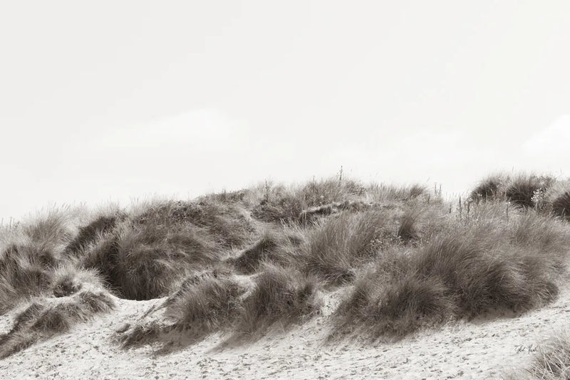 Soluna Dunes II by Deborah Revell. SKU 102768i. Archival Giclee Fine art print for wall decor.