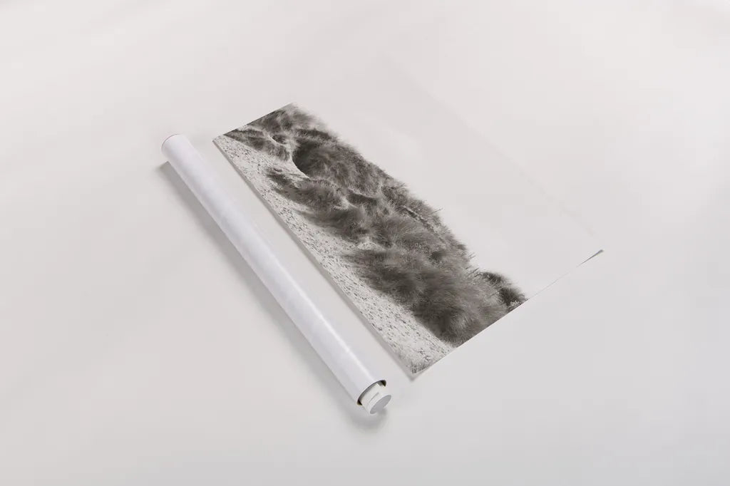 Soluna Dunes II by Deborah Revell. shown as a rolled paper print. Available as archival giclee rolled canvas, fine art paper, or poster print. SKU 102768i.