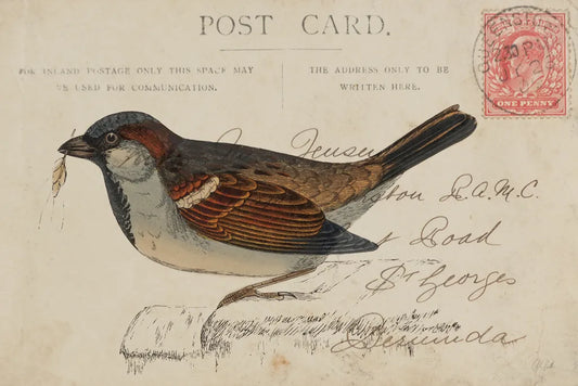 Sparrow by Deborah Revell. SKU 101623i. Archival Giclee Fine art print for wall decor.