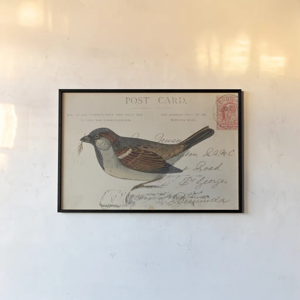 Sparrow by Deborah Revell. shown as a paper print in a black flame. Available as a archival giclee rolled canvas, fine art paper, or poster print. SKU 101623i.