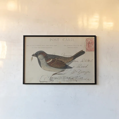 Sparrow by Deborah Revell. shown as a paper print in a black flame. Available as a archival giclee rolled canvas, fine art paper, or poster print. SKU 101623i.