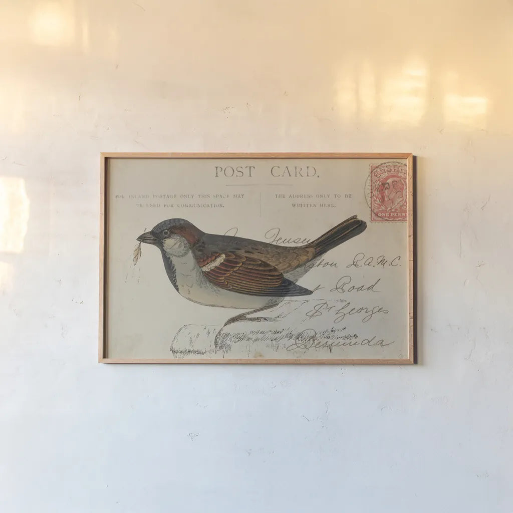 Sparrow by Deborah Revell. shown as a paper print in a natural frame. Available as a archival giclee rolled canvas, fine art paper, or poster print. SKU 101623i.