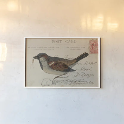 Sparrow by Deborah Revell. shown as a paper print in a white frame. Available as a archival giclee rolled canvas, fine art paper, or poster print. SKU 101623i.