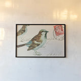 Sparrow by Deborah Revell. shown as a paper print in a black flame. Available as a archival giclee rolled canvas, fine art paper, or poster print. SKU 104181i.