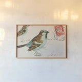 Sparrow by Deborah Revell. shown as a paper print in a natural frame. Available as a archival giclee rolled canvas, fine art paper, or poster print. SKU 104181i.