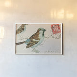 Sparrow by Deborah Revell. shown as a paper print in a white frame. Available as a archival giclee rolled canvas, fine art paper, or poster print. SKU 104181i.