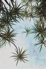 Spiral Palm I by Deborah Revell. SKU 104280h. Archival Giclee Fine art print for wall decor.