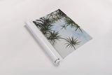 Spiral Palm I by Deborah Revell. shown as a rolled paper print. Available as archival giclee rolled canvas, fine art paper, or poster print. SKU 104280h.