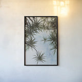 Spiral Palm I by Deborah Revell. shown as a paper print in a black flame. Available as a archival giclee rolled canvas, fine art paper, or poster print. SKU 104280h.