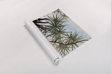 Spiral Palm II by Deborah Revell. shown as a rolled paper print. Available as archival giclee rolled canvas, fine art paper, or poster print. SKU 104281h.