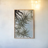 Spiral Palm II by Deborah Revell. shown as a paper print in a natural frame. Available as a archival giclee rolled canvas, fine art paper, or poster print. SKU 104281h.