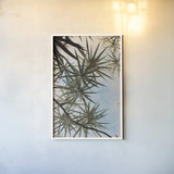 Spiral Palm II by Deborah Revell. shown as a paper print in a white frame. Available as a archival giclee rolled canvas, fine art paper, or poster print. SKU 104281h.
