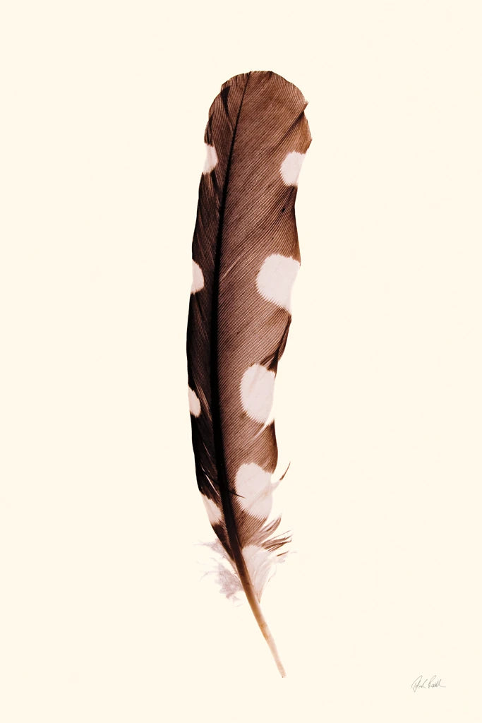 Spotted Feather by Deborah Revell