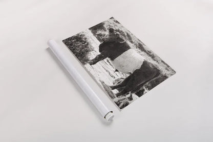 Standing Cow by Deborah Revell. shown as a rolled paper print. Available as archival giclee rolled canvas, fine art paper, or poster print. SKU 94286i.