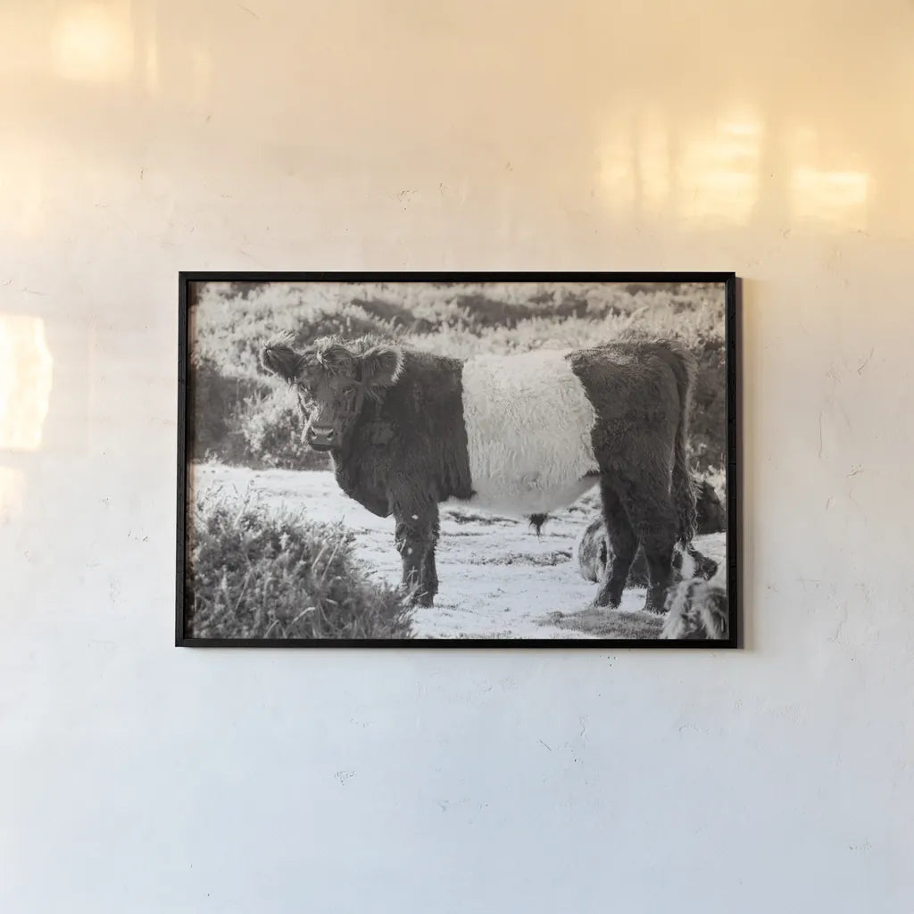 Standing Cow by Deborah Revell. shown as a paper print in a black flame. Available as a archival giclee rolled canvas, fine art paper, or poster print. SKU 94286i.